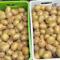 جذب سرمایه گذار