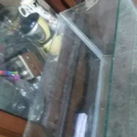 اکواریوم
