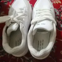 کفش نو|کیف، کفش، کمربند|بوشهر, |دیوار