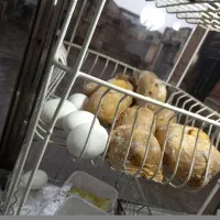 کباب سیب زمینی تنوری با کیفیت بالا|خوردنی و آشامیدنی|ارومیه, |دیوار