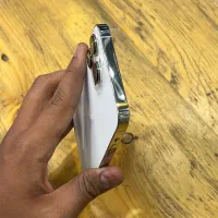 Iphone 13ProMax 256Gb/Zaa 100%|موبایل|یزد, |دیوار