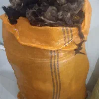 پشم|رختخواب، بالش، پتو|مهاباد (آذربایجان غربی), |دیوار