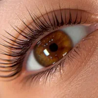 خدمات و اموزش کاشت واکستنشن مژه ولیفت مژه ابرو+مدل|خدمات آرایشگری و زیبایی|شیراز, تاچارا|دیوار