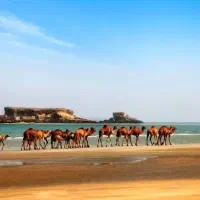 گشت جزیره با ماشین ال 90