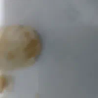 باسلام یک عدد سنگ|جواهرات|بابل, |دیوار