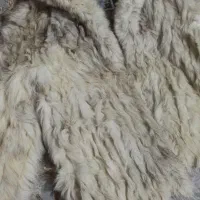 پالتو|لباس|زاهدان, |دیوار