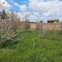 فروش باغ در ابارش با سند شش دانگ