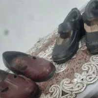 کفش زنانه