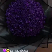 گل رز ربانی