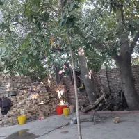 به یک‌ نفر خانم جهت نظافت نیازمندیم