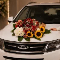 تیگو۵ خیلی خاص مدل ۹۶