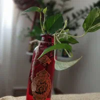 قلمه پتوس شیشه رنگی