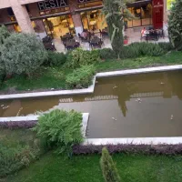 خدمات نظافت