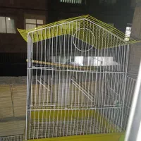 قفس کاسکویی قناری عروس هلندی گرینچیک کوتوله