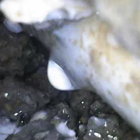 تشخیص ترکیدگی لوله .رفع نم.دستگاه تصویری نشت یابی|خدمات پیشه و مهارت|تهران, نیروی هوایی (پیروزی)|دیوار