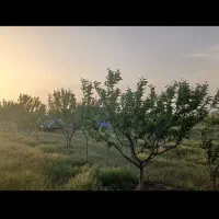 باغ فروشی ۱۰۰۰متر|فروش زمین و ملک کلنگی|زنجان, |دیوار