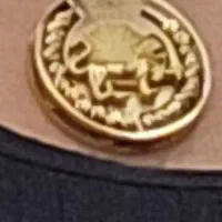 گمشده از پلاک