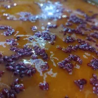 همکار خانم برای غذاخوری