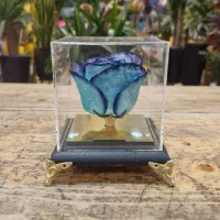 گل روز جاودان|گل مصنوعی|مشهد, آزادشهر|دیوار