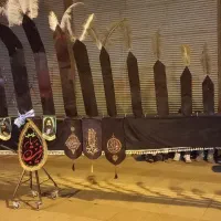 الم ۲۵ شاخه