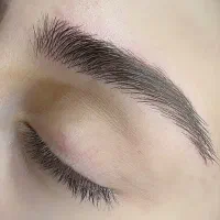 مدل میکرو و شیدینگ لب|خدمات آرایشگری و زیبایی|شیراز, تندگویان|دیوار