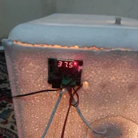 گاز دستگاه جوجه کشی به همراه جوجه