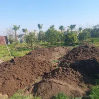 خاک باغچه ای درجه یک