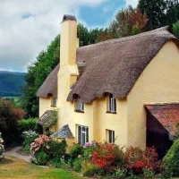 نیروی خانم برای کمک در امور خانه