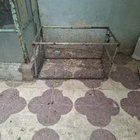 قفس پرنده و مرغ خروس