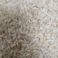 برنج محلی نوراباد ممسنی