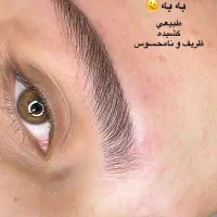 فیبروز میکروبلیدینگ خط چشم شیدینگ لب ریموو|خدمات آرایشگری و زیبایی|شیراز, فرهنگ شهر|دیوار