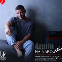 بیلط کنسرت آرمین زارعی تحویل حضوری