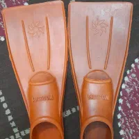 پافین شنا