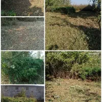 علفتراشی.چمنزنی.علفزنی.تمشک زنی