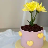 کیک خانگی|خوردنی و آشامیدنی|قشم, |دیوار