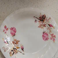 بشقاب غذا خوری