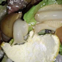 حلزون درمانی کلاژن طبیعی