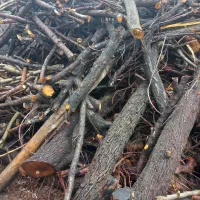 سلام خریدار چوب درخت میوه|خدمات باغبانی و درختکاری|فارسان, |دیوار