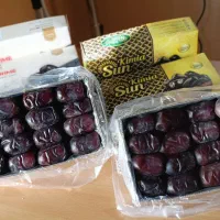 فروش خرما ، رطب مضافتی بم