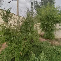 باغچه شهرکی/سندتکبرگ/آب برق گازکنتور/کردان سهیلیه|فروش زمین و ملک کلنگی|کرج, فاز ۲ مهرشهر|دیوار