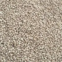 انجیر سالم وارگانیک تویسرکان|خوردنی و آشامیدنی|قم, شهرک امام حسن|دیوار