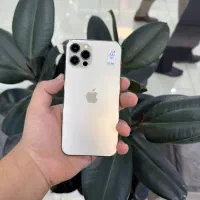 آیفون ۱۲pro رنگ gold بدون پیش پرداخت بخر