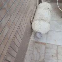 کپسول cng پیکان