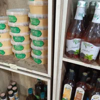 درمان کمر درد و مفاصل