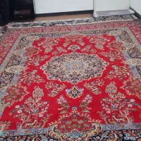 فرش پانصد شانه|فرش|بندر امام خمینی, |دیوار