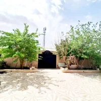 اگه-من-بودم-حتما-اینجارو-کافه-رستوران-میکردم