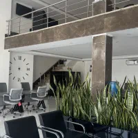 تجاری حاشیه دانشجو/ گذر شلوغ