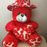 خرس سالم سالم