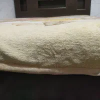 تخت خواب|تخت و سرویس خواب|یاسوج, |دیوار