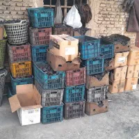 ذغال لیمو تولید کننده|عمدهفروشی|گرگان, |دیوار